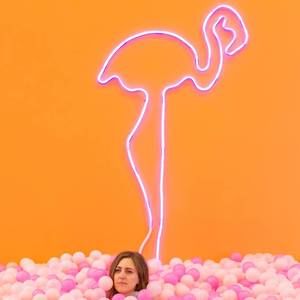 Meet your Posher, Madison